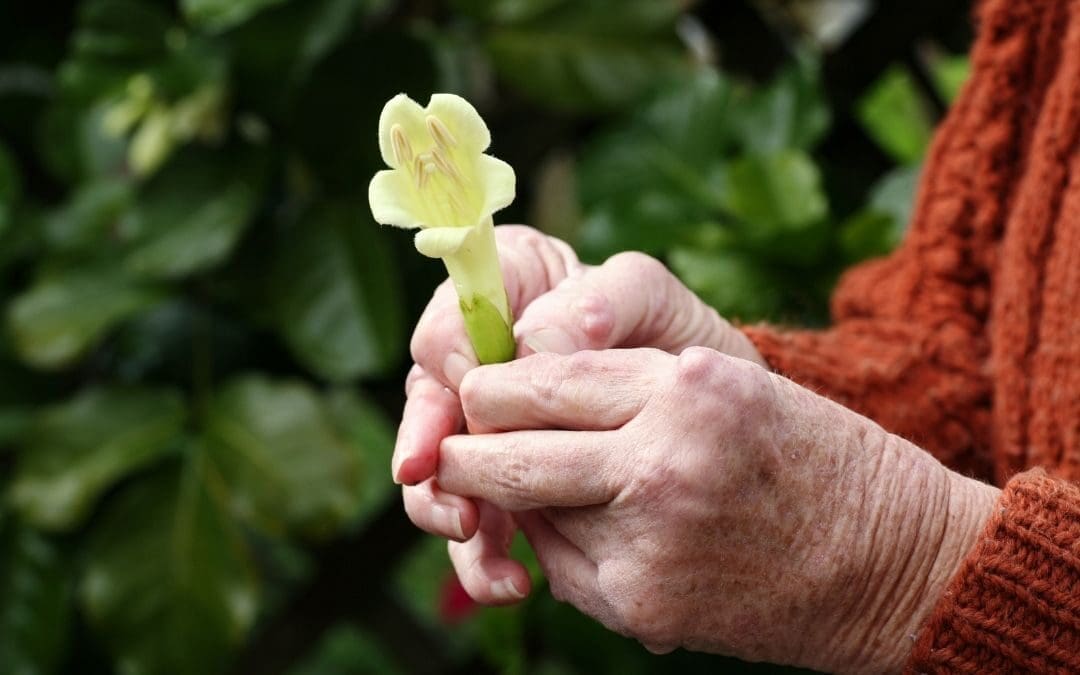 Artrite reumatoide: dalla diagnosi alla cura