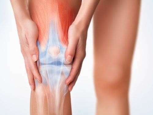 Spesso i dolori muscolo-scheletrici possono avvisarci della presenza di un disturbo a carico di ossa, articolazioni o muscoli: scopri di più! Dolore ginocchio
