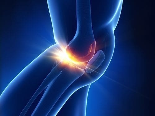 Scopri la particolare anatomia dei menischi! Anatomia menischi